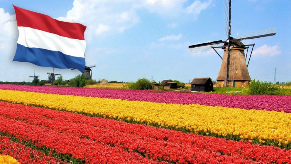 🇳🇱Нидерландский | Голландский с Еленой Бурмаковой