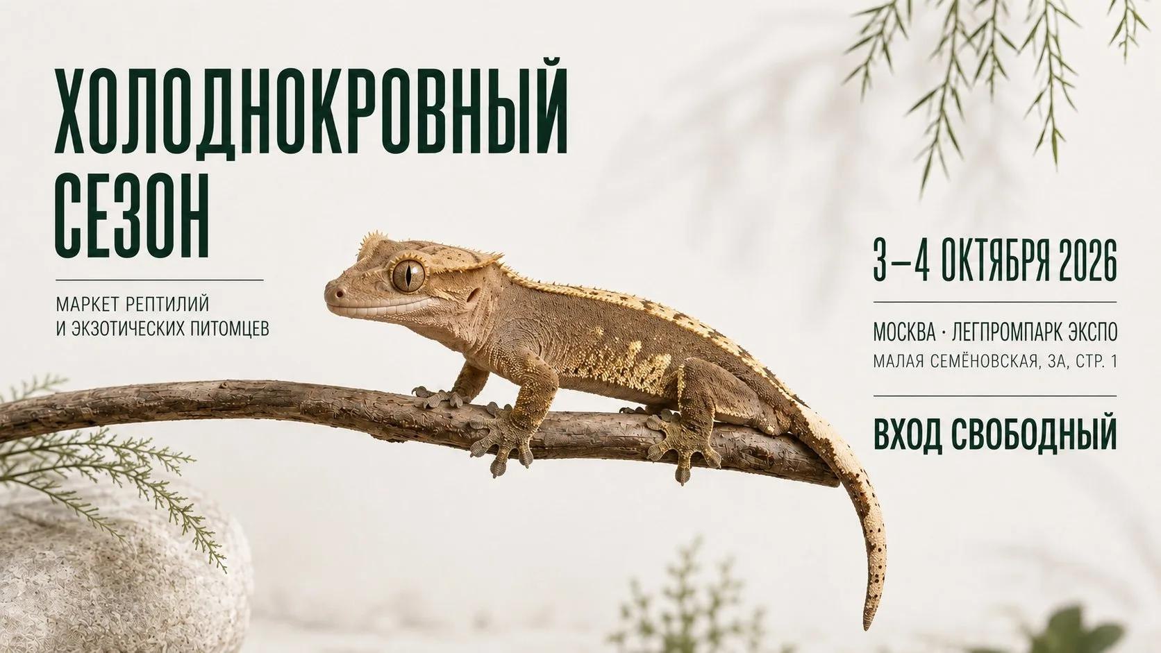 Холоднокровный Сезон