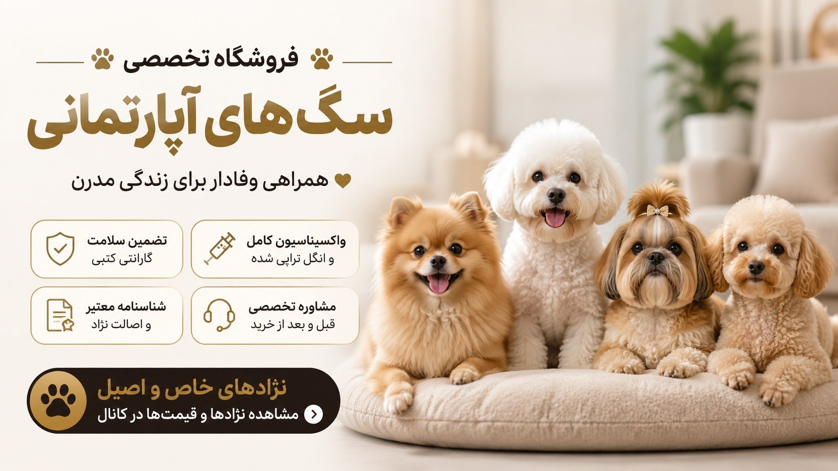 فروشگاه سگ آپارتمانی | pet_market