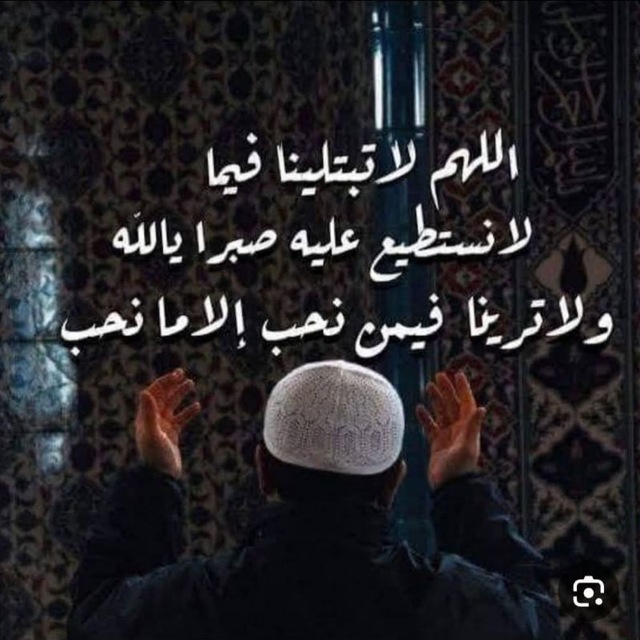 @aligad8