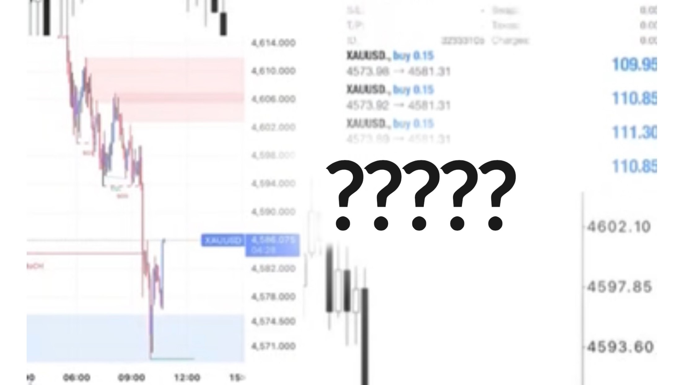 Trader Otai