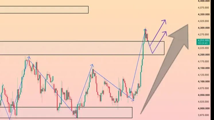 Forex Trader