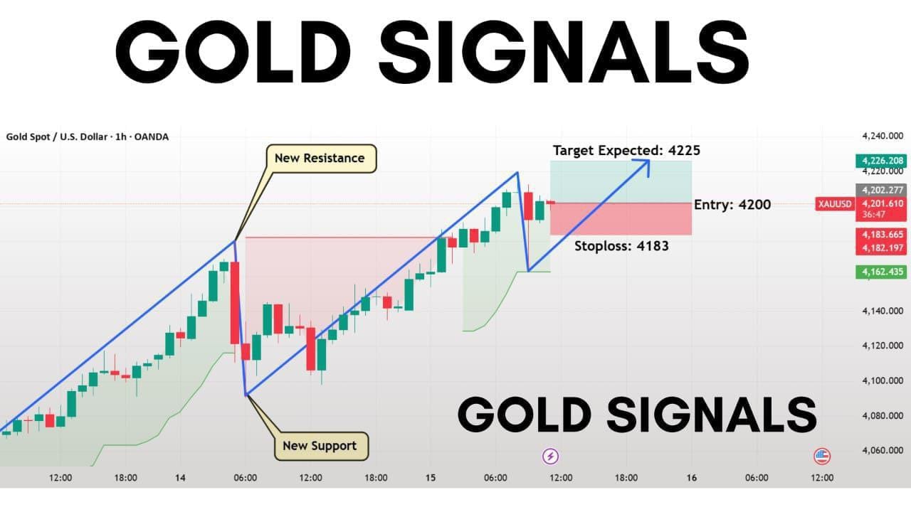 GOLD EURO TRADER