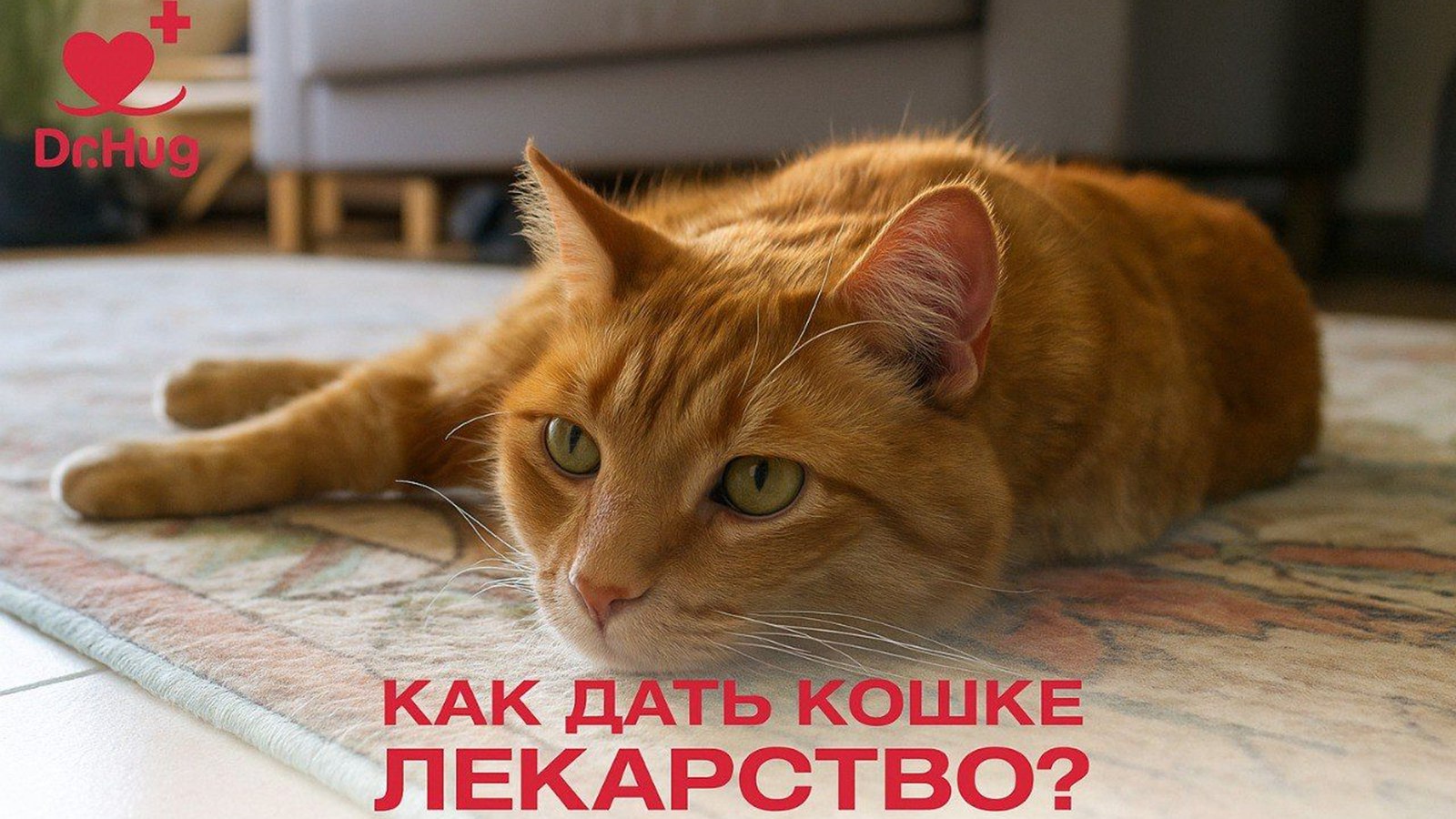 Ветеринарные центры Dr.Hug