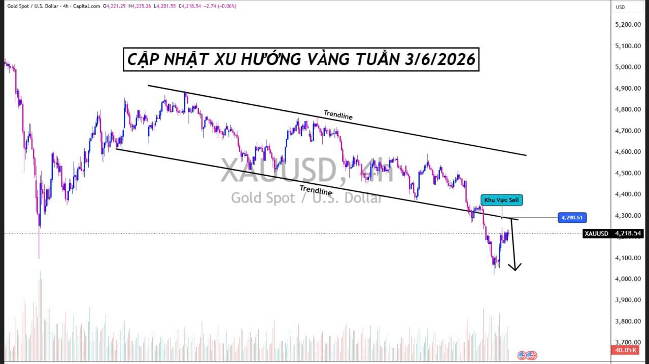 VN Forex Team