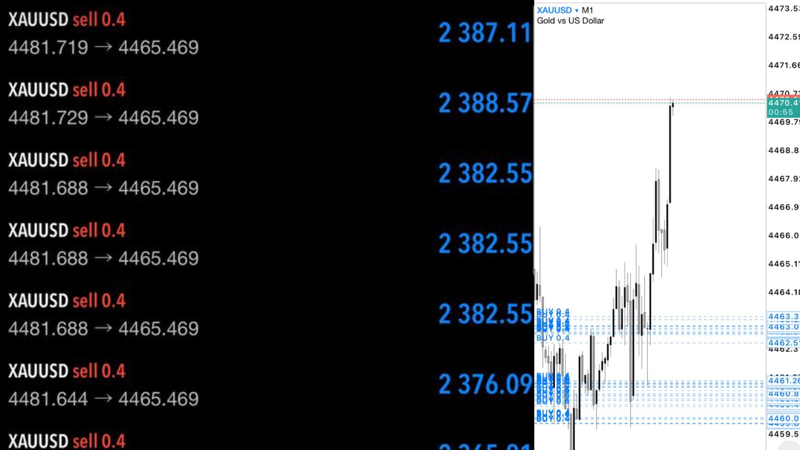 168FX Dubai Signals 🇦🇪