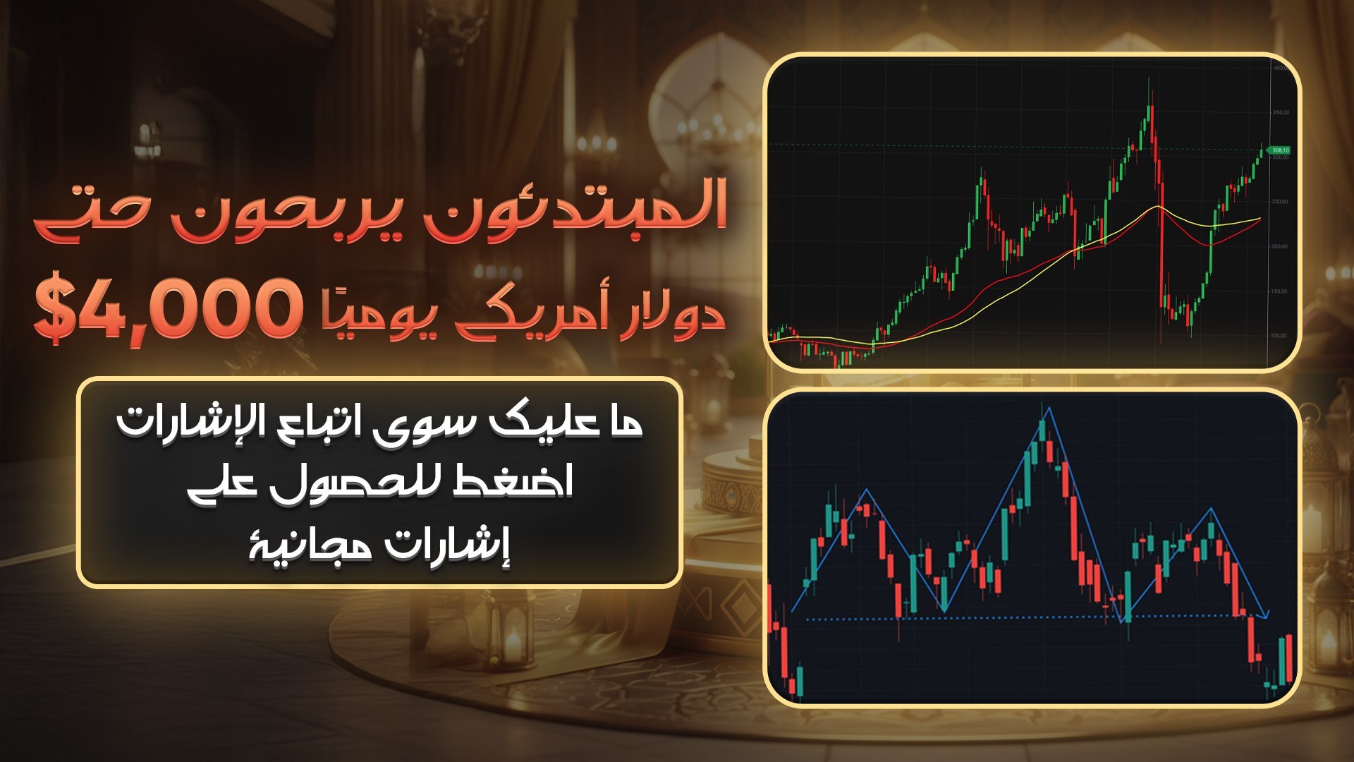 TOP/FOREX