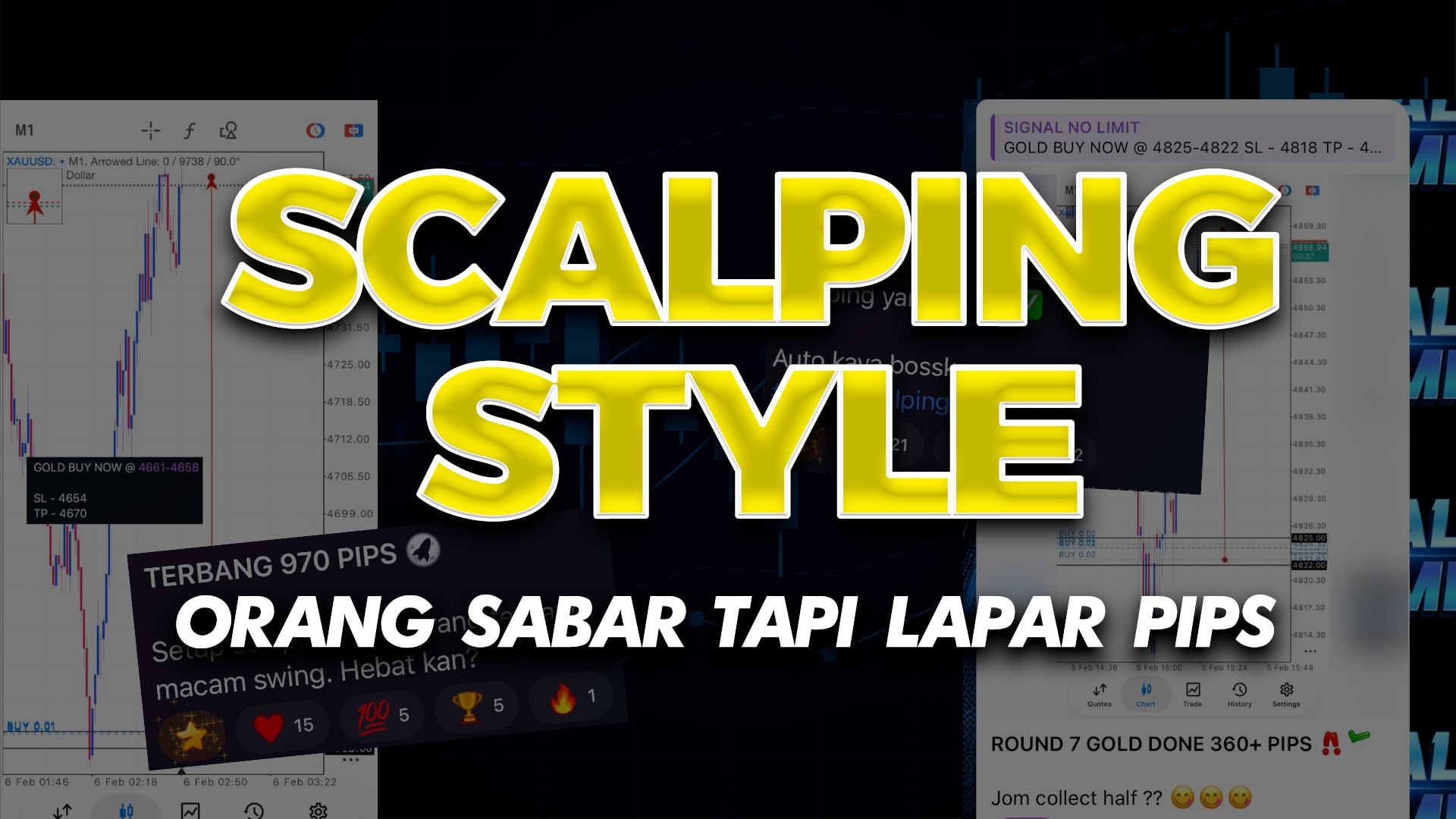 MIMIE SCALPING DERHAKA