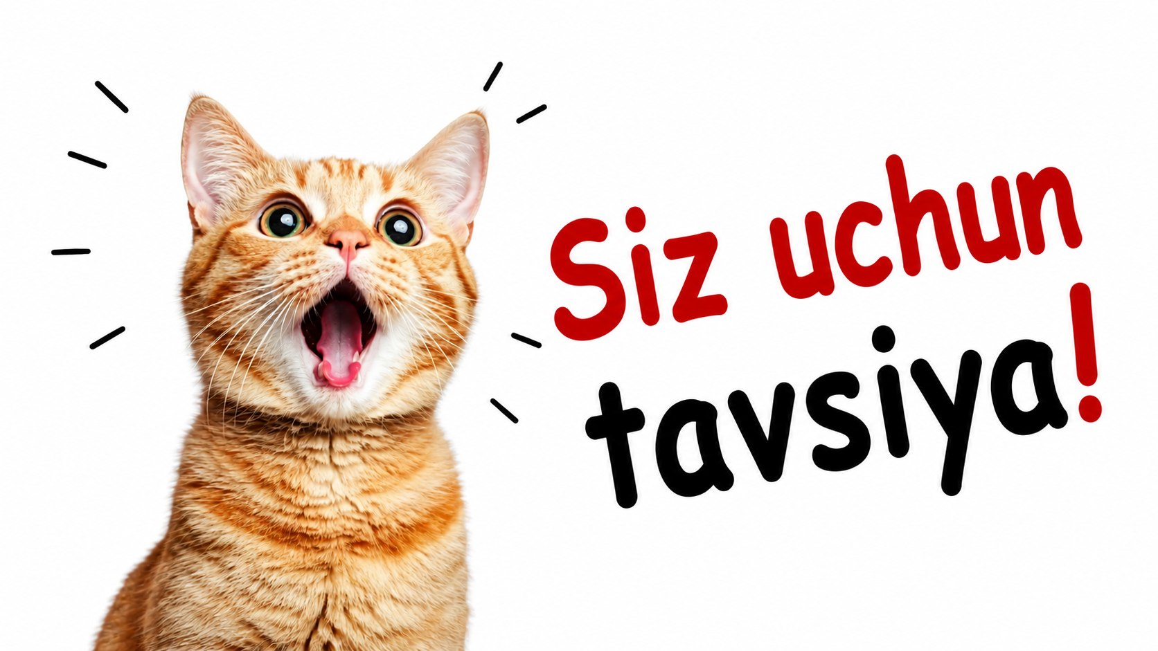 💄"QIZIL POMADA" onlayn kurslar platformasi