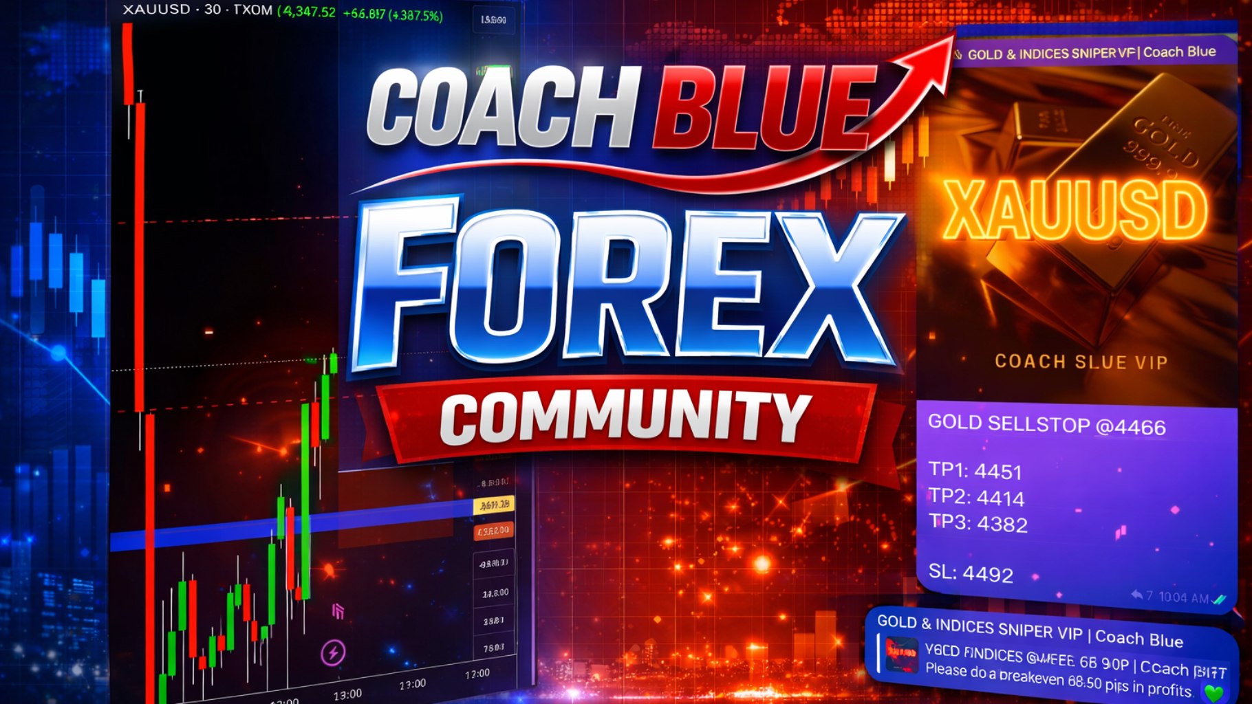Coach blue forex community