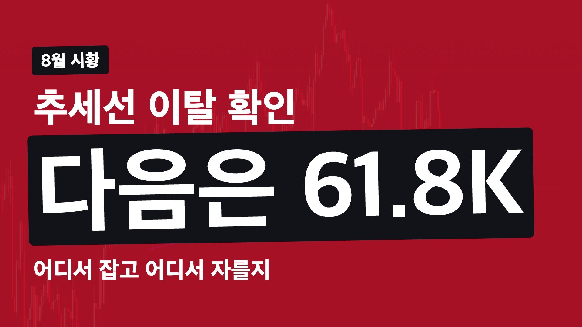코바 인사이트