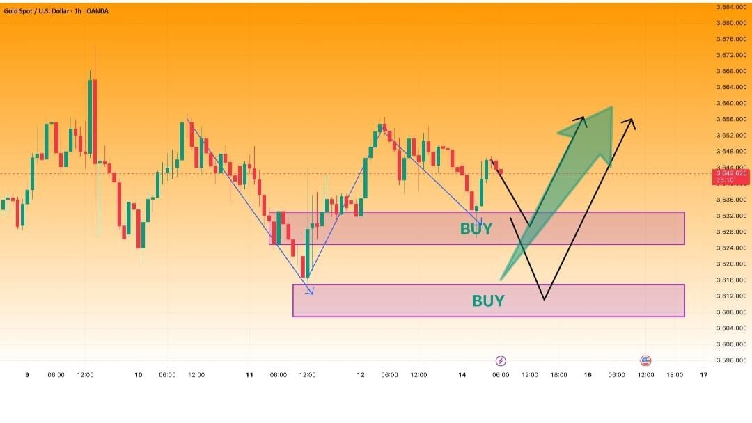THE_TRADING_ZONE.forex
