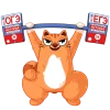 💪