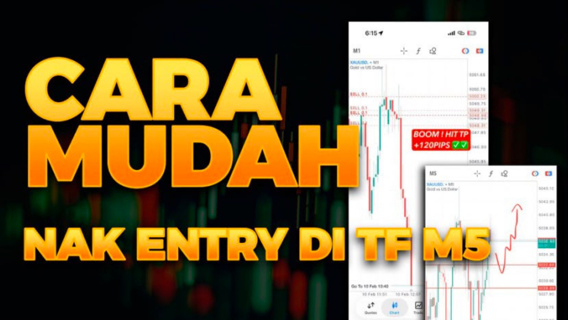 Along Gold Scalper