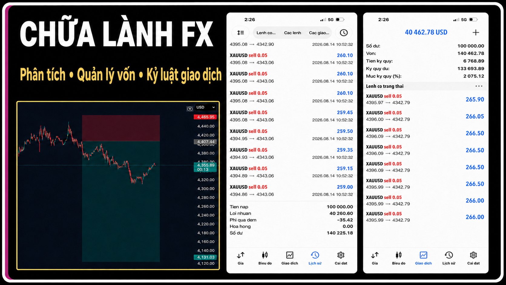 Chữa Lành Forex Gold 🇻🇳