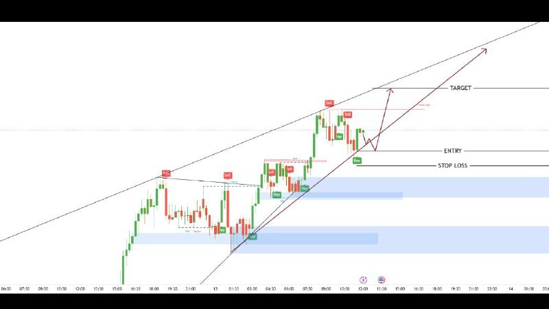 Pips empire trades