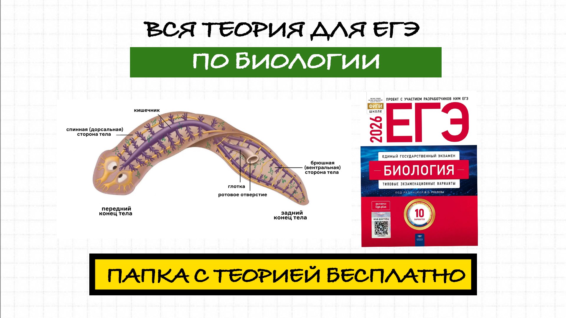 Тамерлан Харди и Артур Вайнберг | Биология ЕГЭ | ЕГЭХАБ