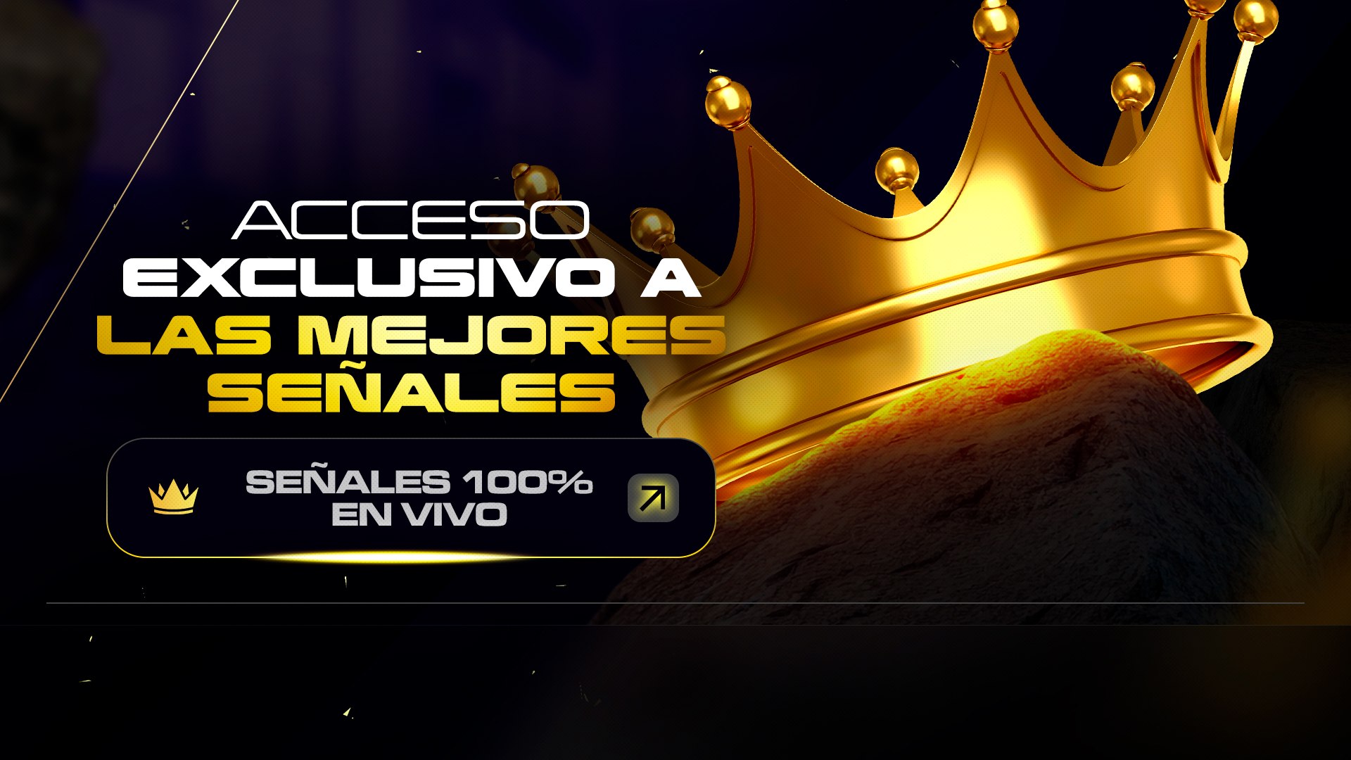 David Trader | 👑 Rey de Quotex