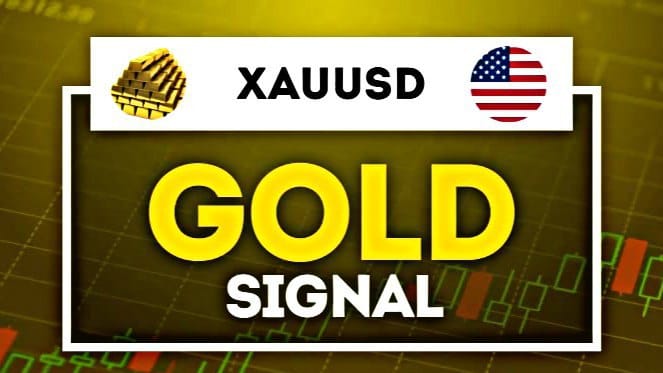 👍 RAZA TRADER 👍