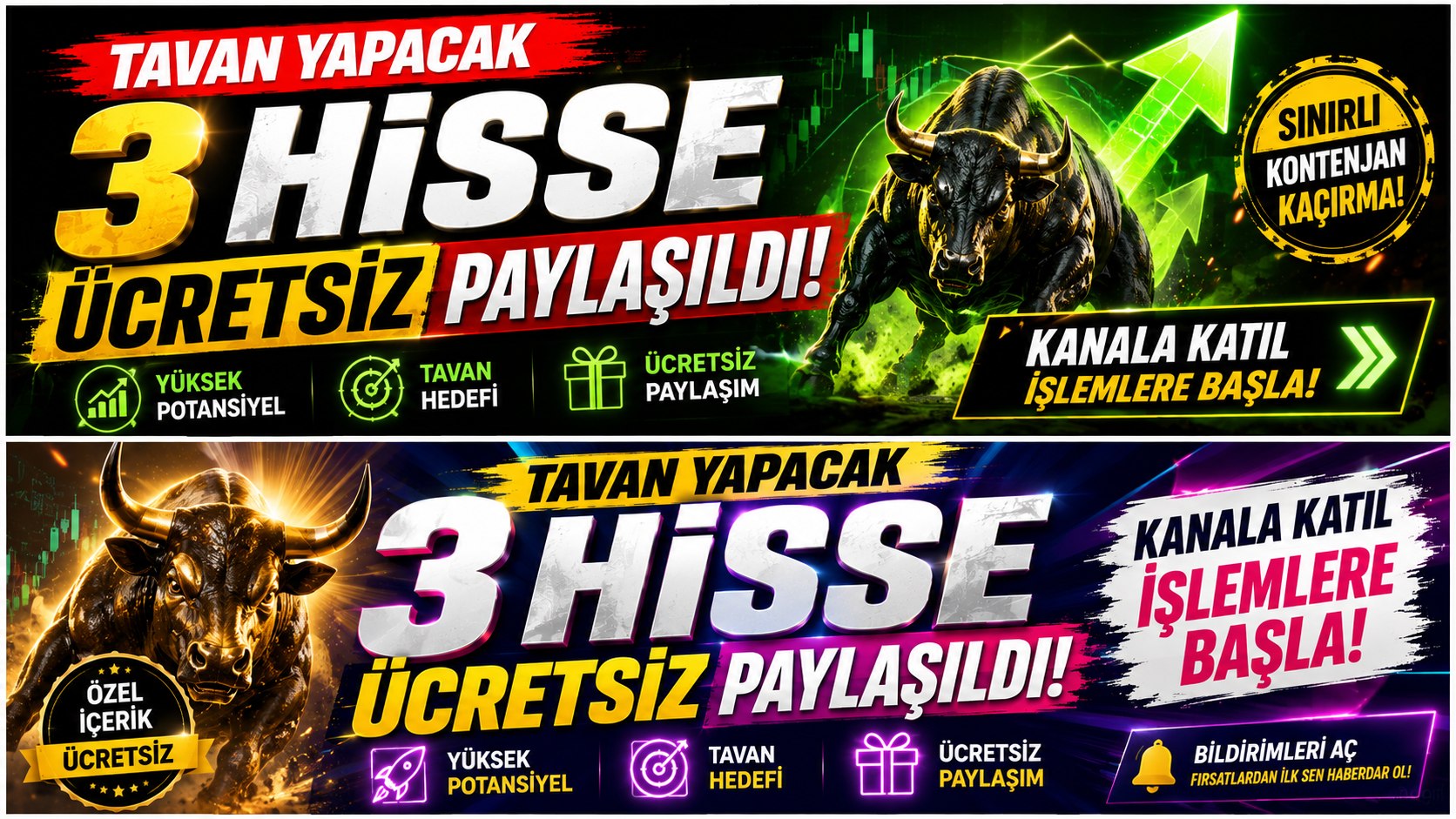 BALİNA TAKİP