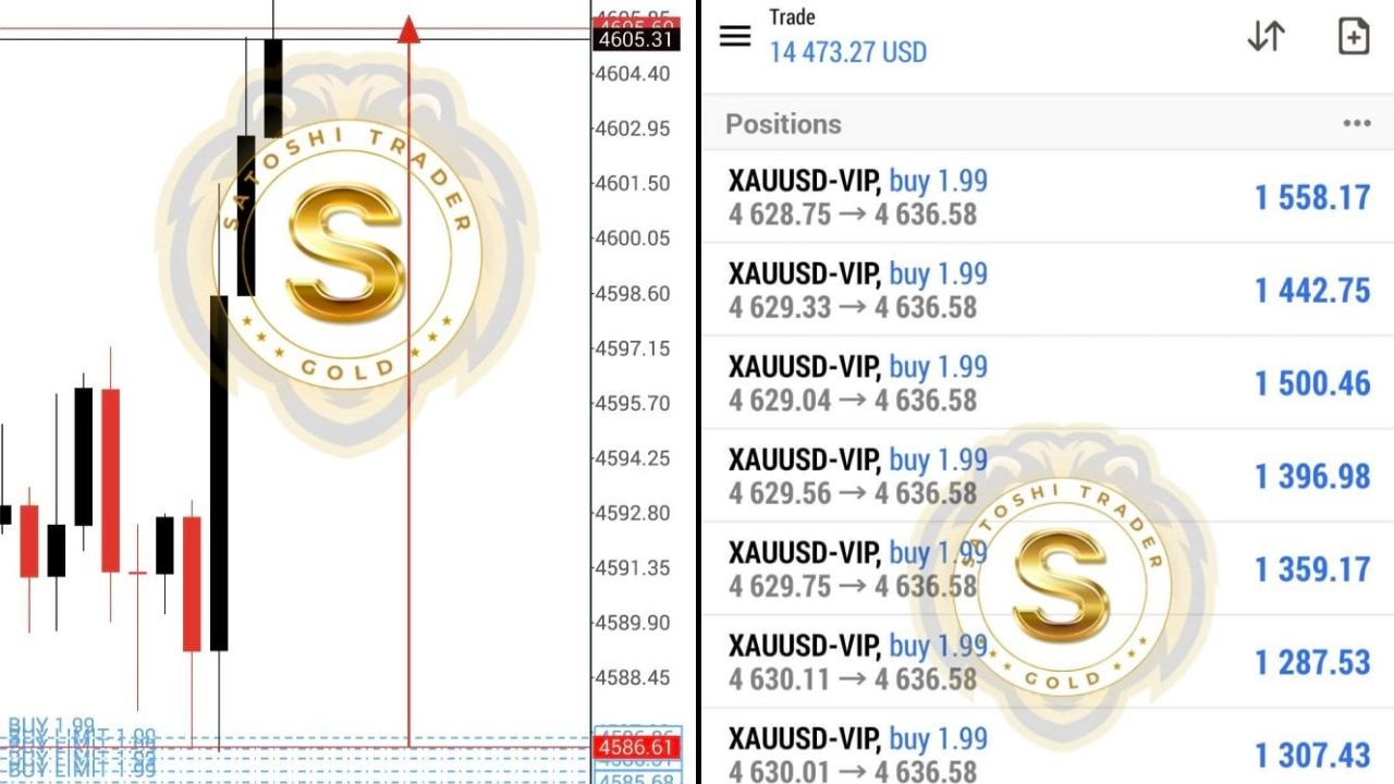 Satoshi Trader Gold 🏆