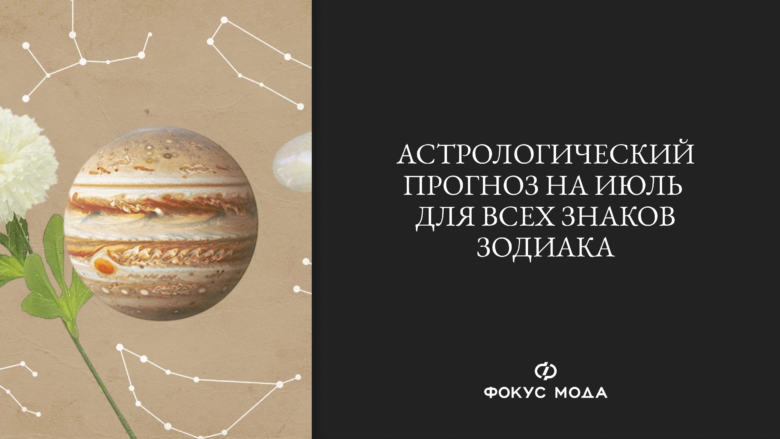 Фокус Мода