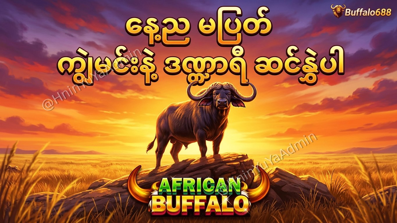 ကျွဲဂိမ်းအစစ် Buffalo688 ၊ကျွဲဘုရင် ၊ရှမ်းကိုးမီး၊ဘူကြီး