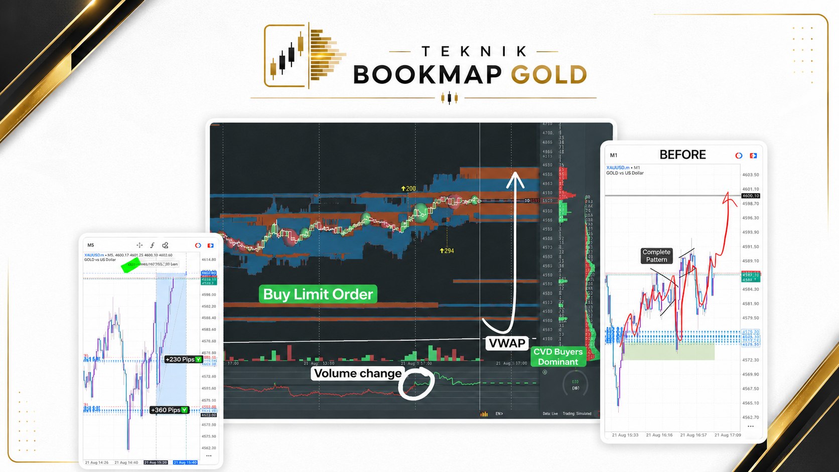 Teknik BookMap Gold