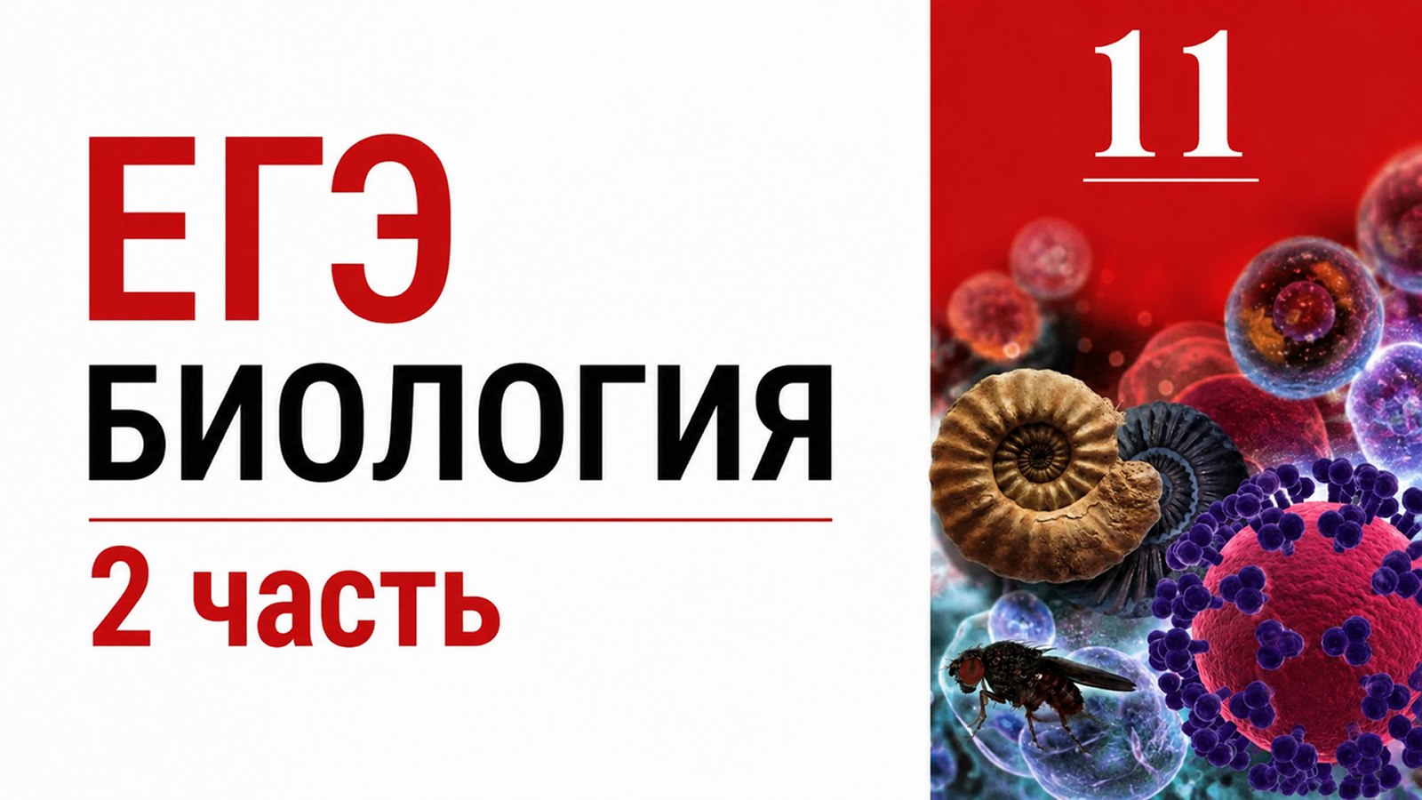 Марк Ламарк | Биология ЕГЭ | 100балльный Репетитор