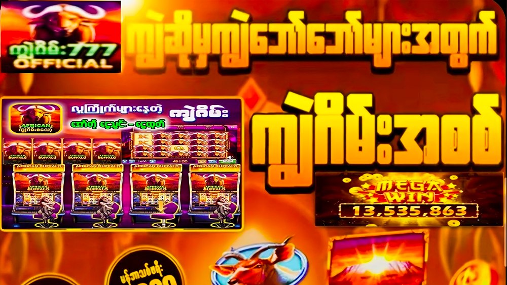 Buffalo ကျွဲစစ်စစ် - ဘူကြီး ၊ ရှမ်းကိုးမီး ၊ ဂလုန်းဂလုန်း