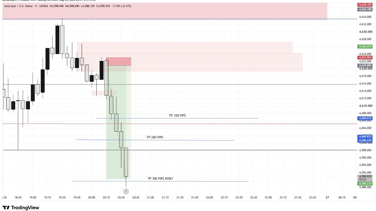TradingView Trader