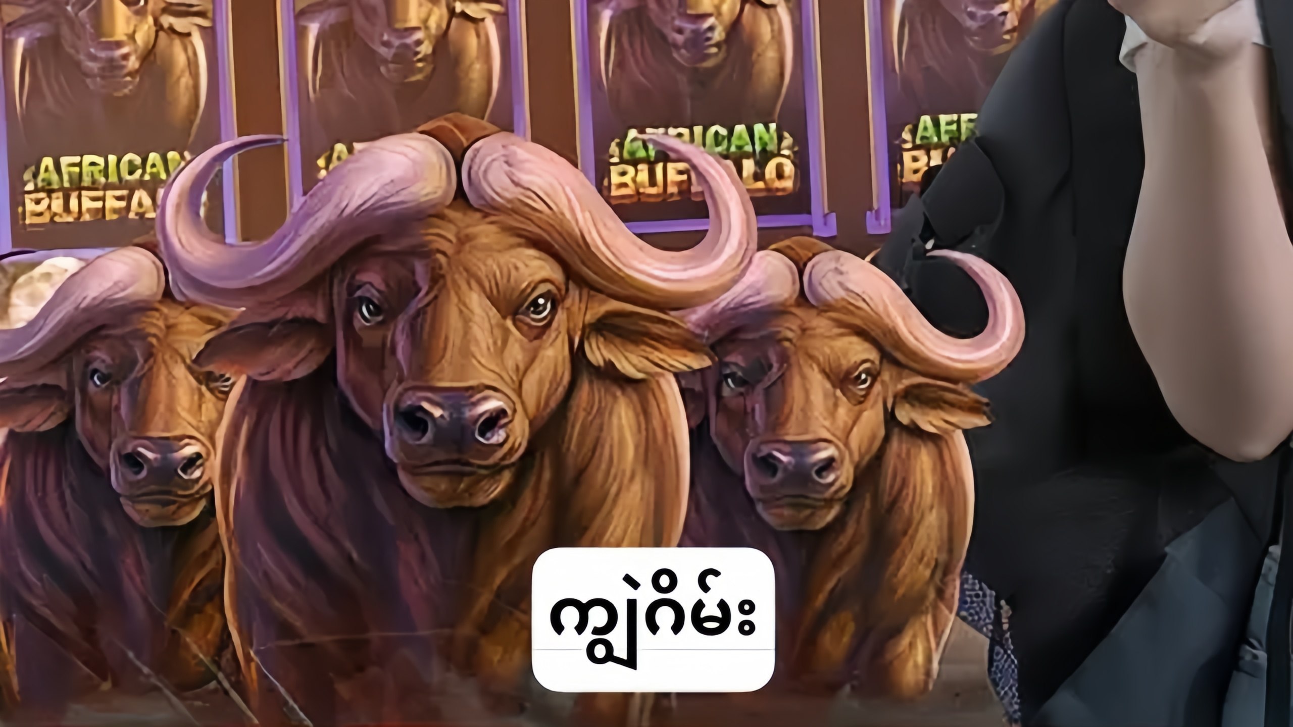 ကျွဲဂိမ်းအစစ် 24 နာရီဝန်ဆောင်မှု 🐂