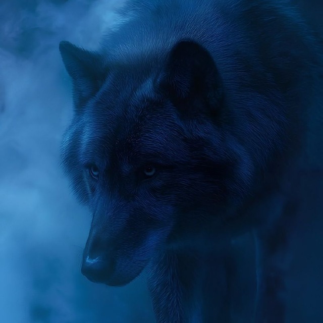 @wolfcryptoreza