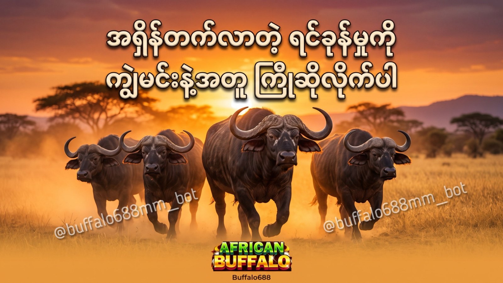 Buffalo688 Myanmar Official