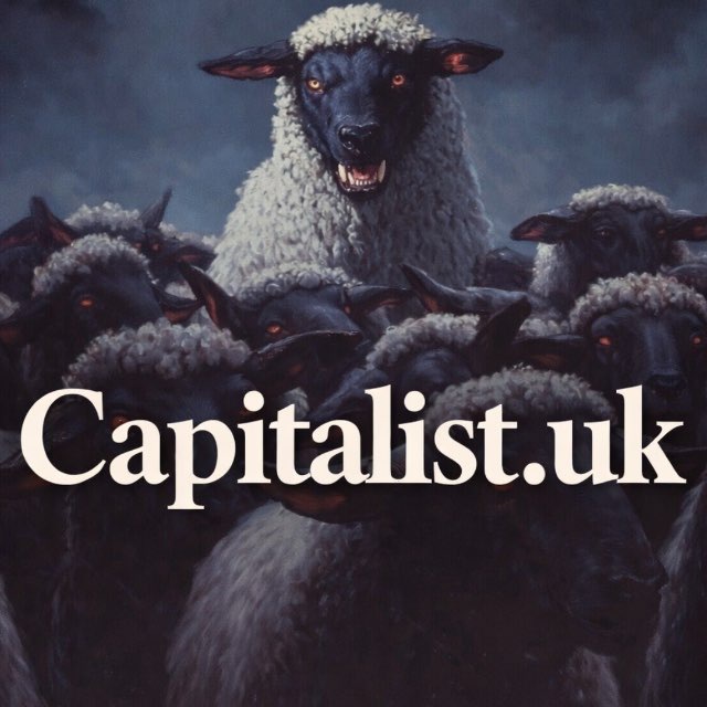 @capitalistukr532