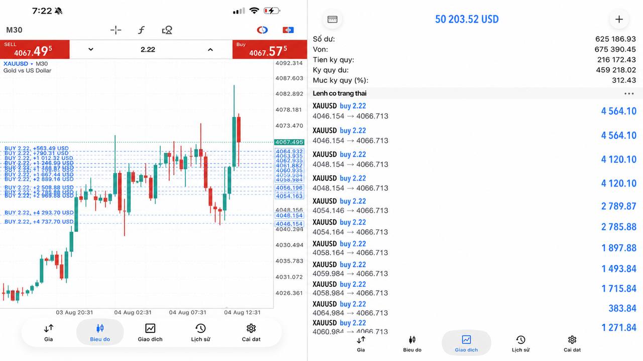 MegaLodon GOLD & FOREX