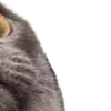 ๐คฉ