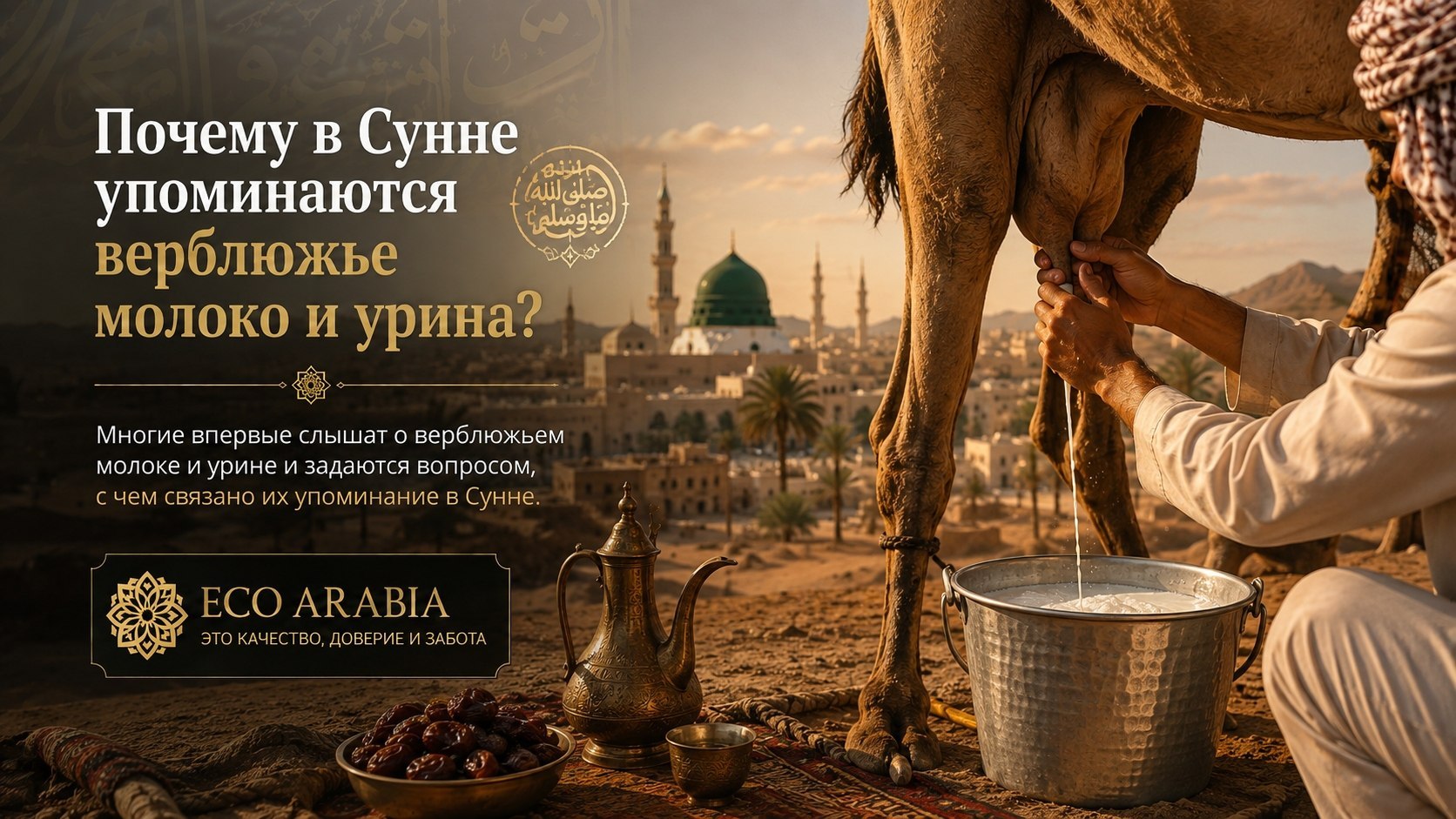 Eco Arabia in Medina