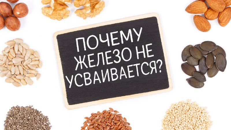 «Ресурс» Марины Жигульской
