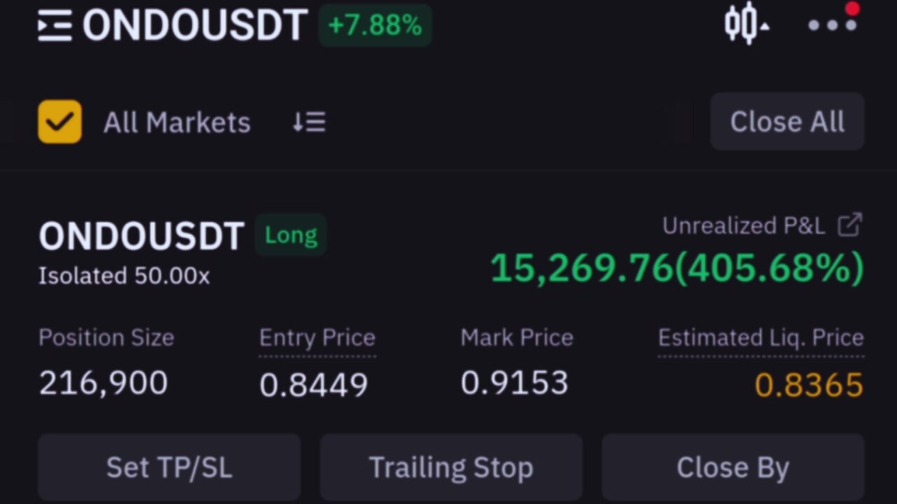 Crypto Bulls