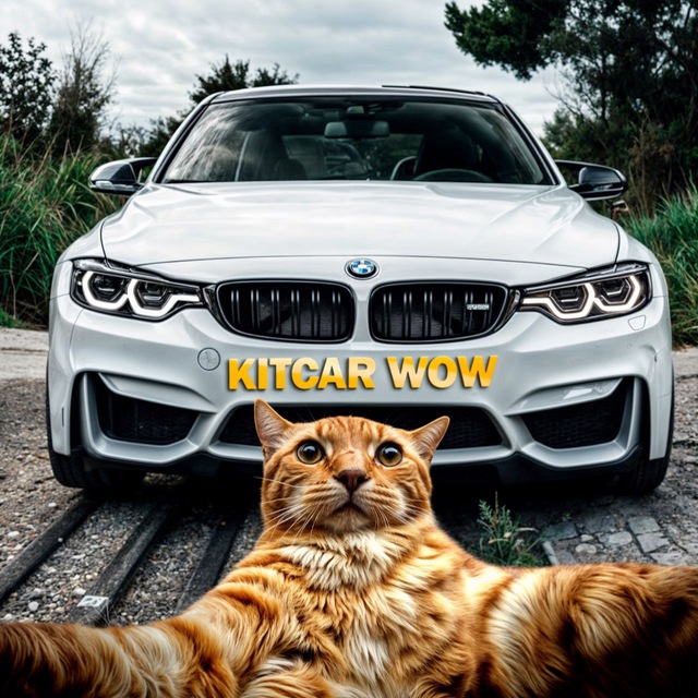 @kitcarwow