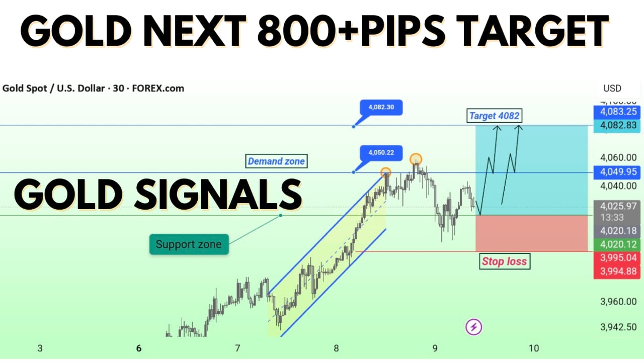 ππππ« ππ«πππ’π§π