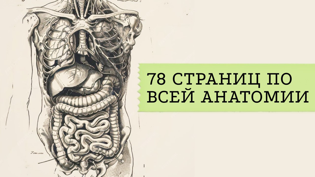ноо — биология егэ