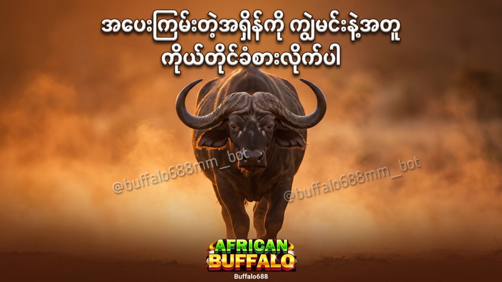 Buffalo688 Myanmar Official